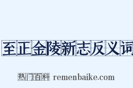 至正金陵新志反义词是什么意思的图片